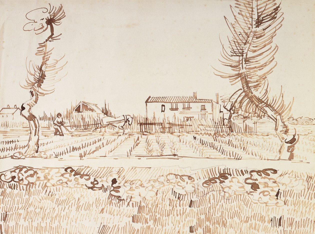 Kentät Arlesissa; Plowman in the Fields Arlesissa, 1888 tekijältä Vincent van Gogh