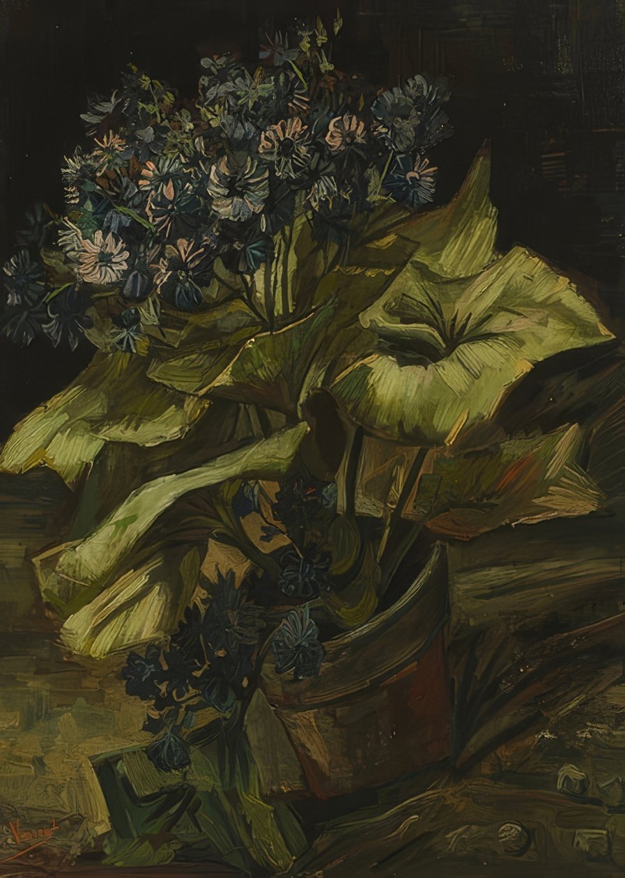 Zinerarie. 1885 tekijältä Vincent van Gogh