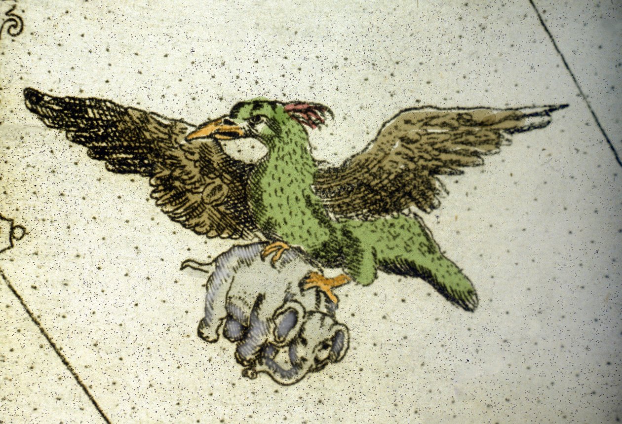 Jättiläinen lintu Rok kantaa norsua kasvihuoneidensa välissä antaakseen sen poikaselle, Vincenzo Coronellin (1650-1718) maailmankartan yksityiskohta. 17. vuosisata tekijältä Vincenzo Maria Coronelli