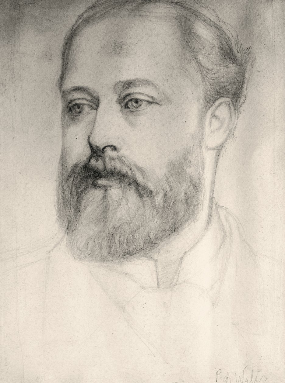 Walesin prinssi tekijältä Violet Manners