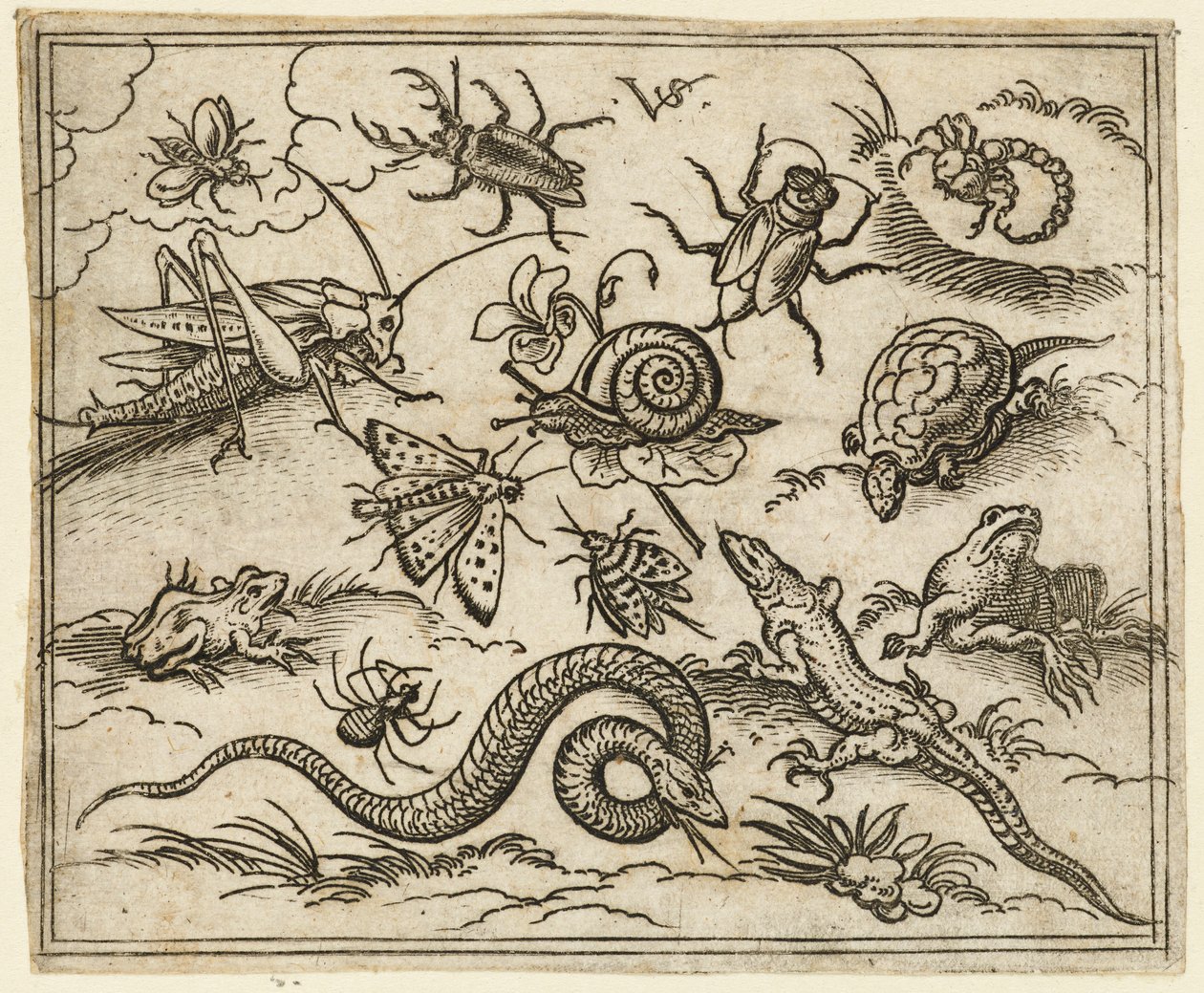 Ryhmä hyönteisiä ja matelijoita tasanteella kivillä, mukaan lukien leguaani, lisko..., 1557. tekijältä Virgil Solis
