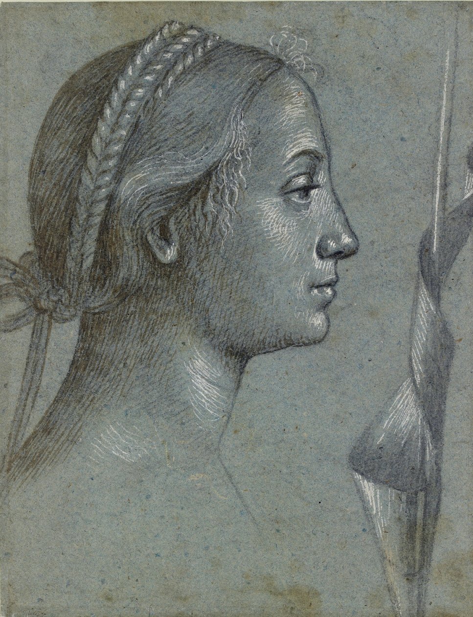 Naisen pää, jolla on viiri kierretty napakan ympärille, 1400-luvun loppu tekijältä Vittore Carpaccio