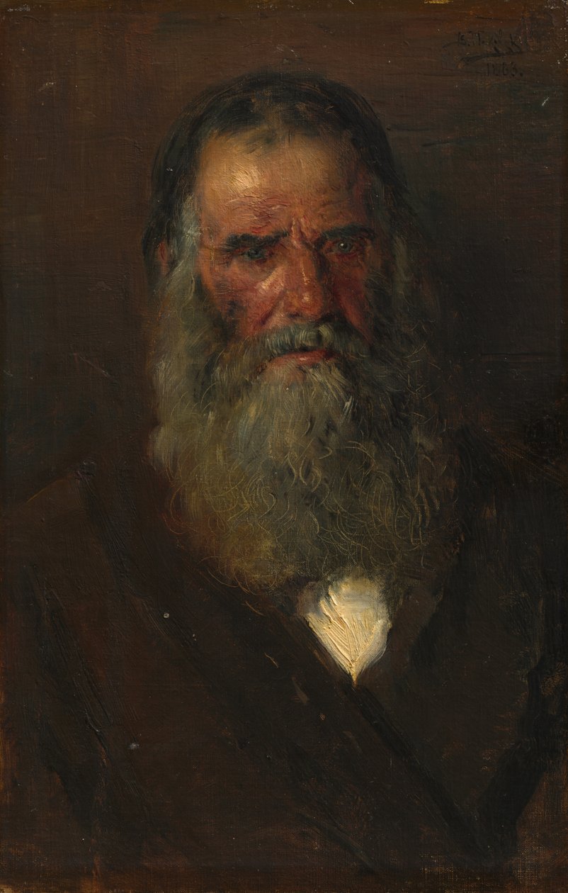 Tutkimus vanhan miehen päästä, 1883. tekijältä Vladimir Egorovic Makovskij