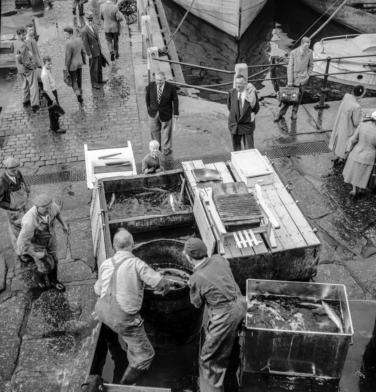 Islantilaiset kalastajat purkavat saalista laiturille tekijältä Volkmar Wentzel