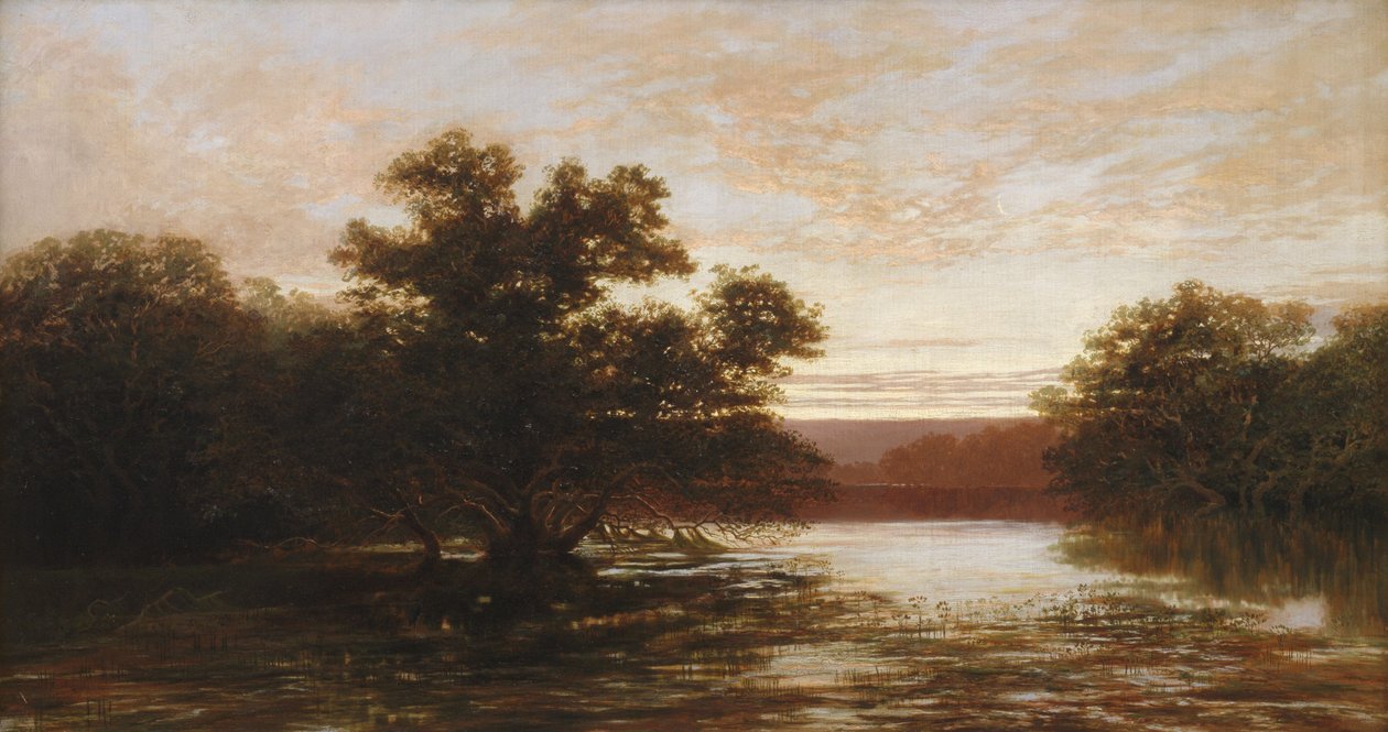 Australian mangrove, laskuvesi tekijältä W.C. Piguenit