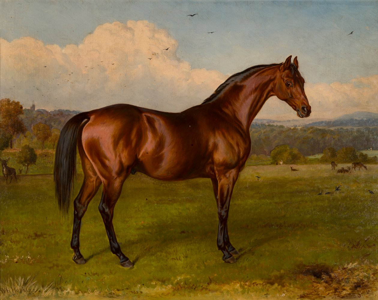 Retreat-Doncaster Cupin voittaja, n. 1870-1892 (öljy kankaalle) tekijältä W.H. Hopkins
