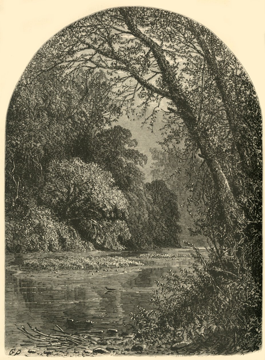 "Moss Islands, in the Juniata", 1874. tekijältä W.H. Morse
