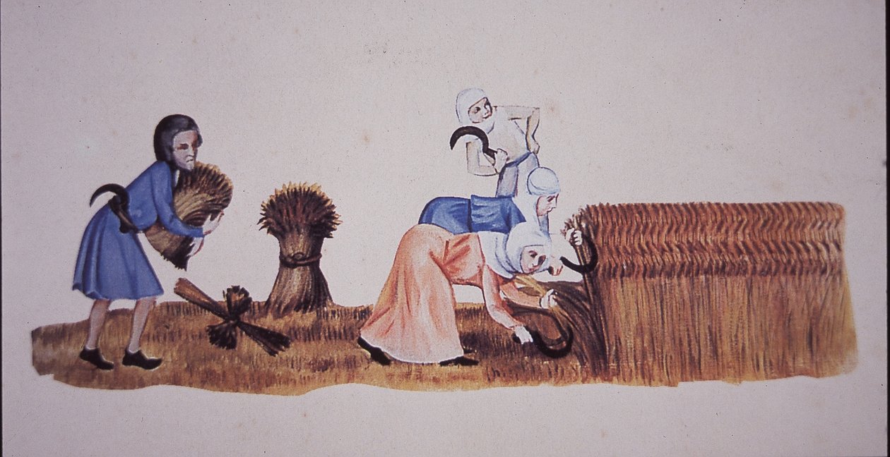 Keskiaikaiset naiset korjuussa maissia Luttrell Psalterin kohtauksen jälkeen (värilitho) tekijältä John Ward Dunsmore