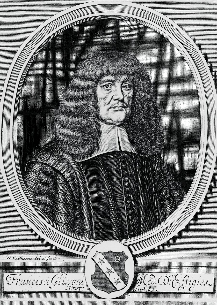 Francis Glissonin (1597-1677), brittiläisen fyysikon, anatomin ja lääkärin muotokuva, kaiverrus tekijältä John Ward Dunsmore