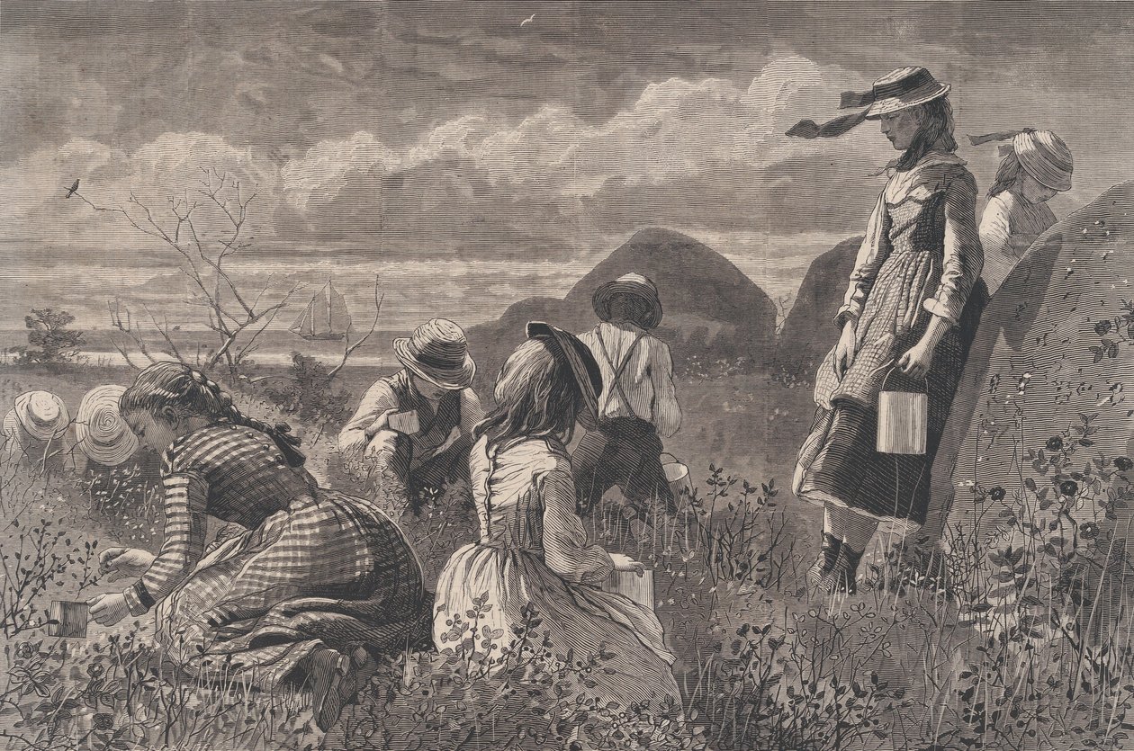 Gathering Berries Harper