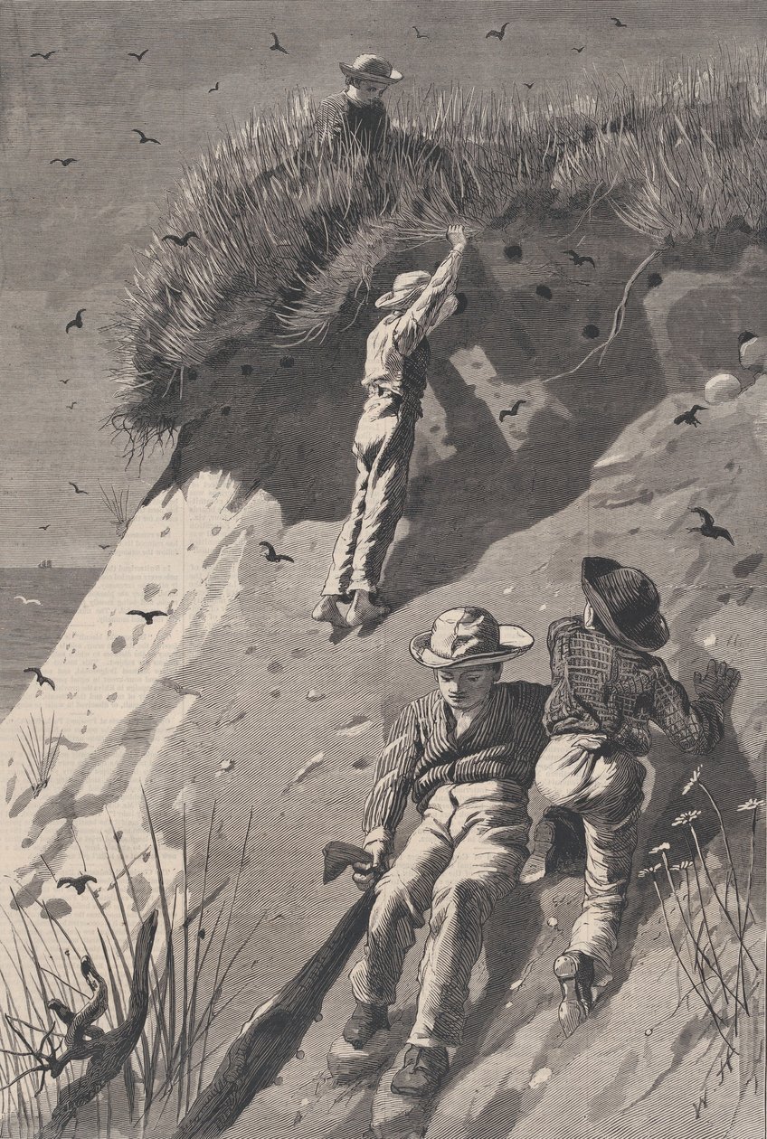 Raid on a Sand-wallow Colony - Kuinka monta munaa Harper