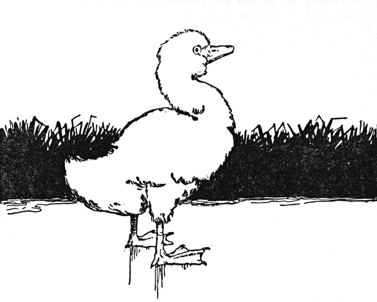 Hän tuli Wide Moorille, vuonna 1930 tekijältä William Heath Robinson