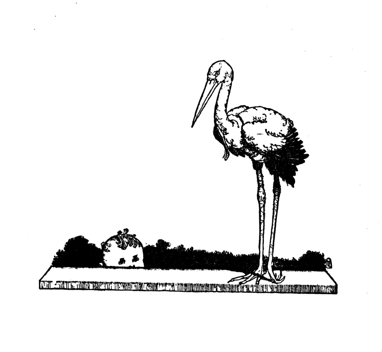Stork! Stork! Pitkäjalkainen haikara!, v1930 tekijältä William Heath Robinson