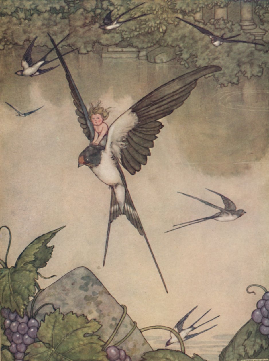 Kyllä, lähden kanssasi! Sanoi Tommelise, 1930 tekijältä William Heath Robinson