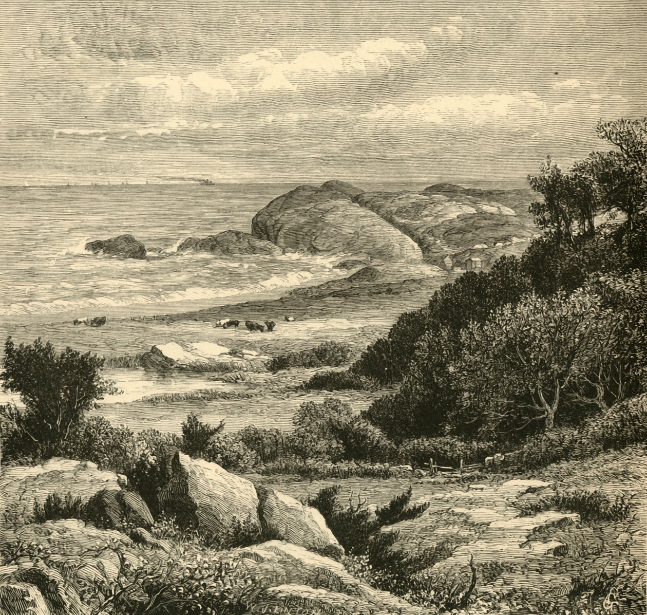 "Kaukainen näkymä kiirastulesta", 1872. tekijältä W. J. Linton