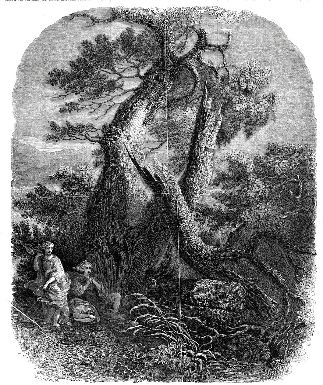 Näyte puukaiverruksesta, Nioben lasten kuolema, ...1844. tekijältä W. J. Linton