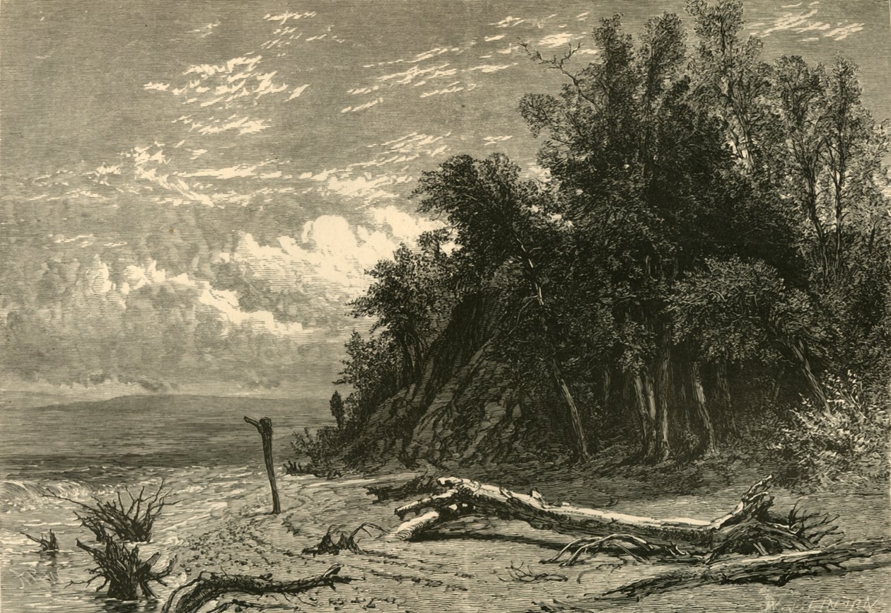 "The Shore at Lake Forest", 1874. tekijältä W. J. Linton