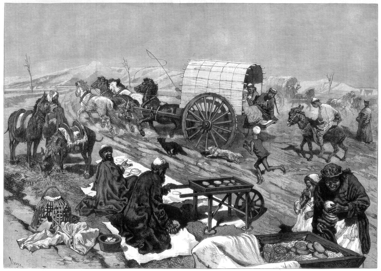 Naisten omnibus, Kashgar, Keski-Aasia, 1875. tekijältä W. Palmer