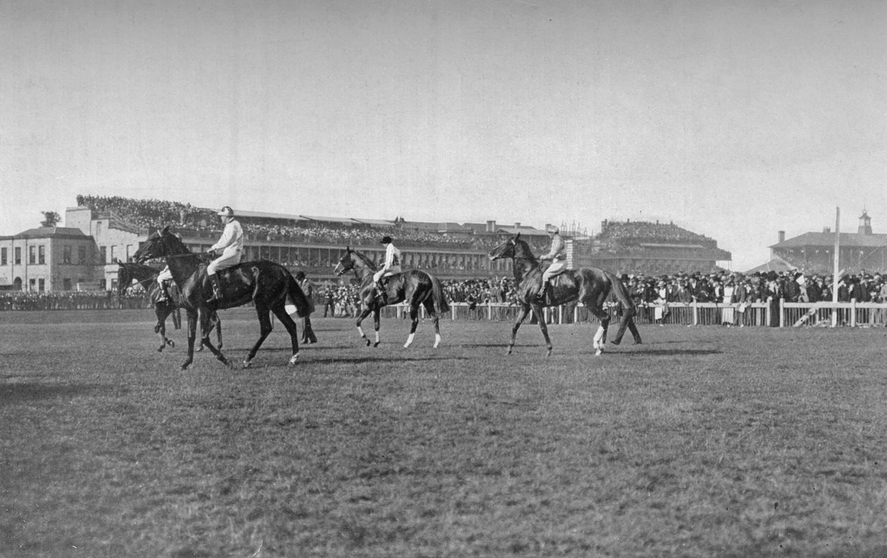 St. Leger Horses In Front of Doncaster Stand, c1901, 1903 tekijältä W. W. Rouch
