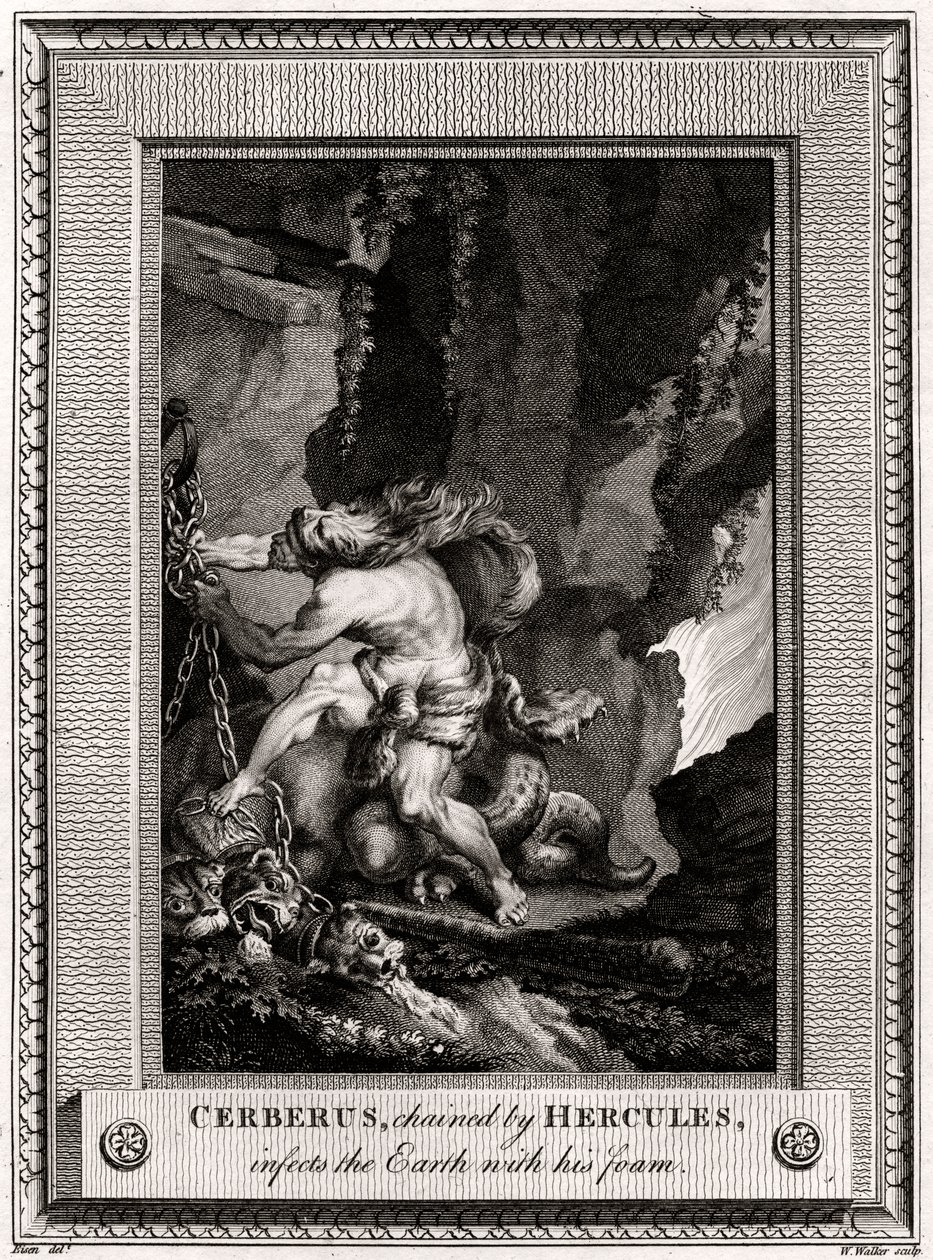 Herculesin kahlitsema Cerberus saastuttaa maapallon vaahdolla, 1774 tekijältä W. Walker