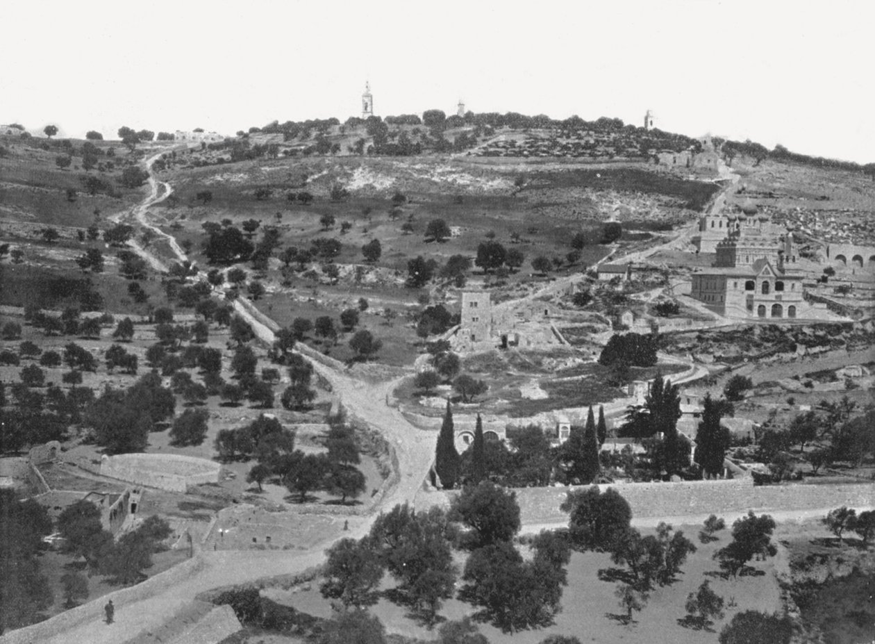Öljyvuori, Jerusalem, Palestiina, 1895. tekijältä W and S Ltd