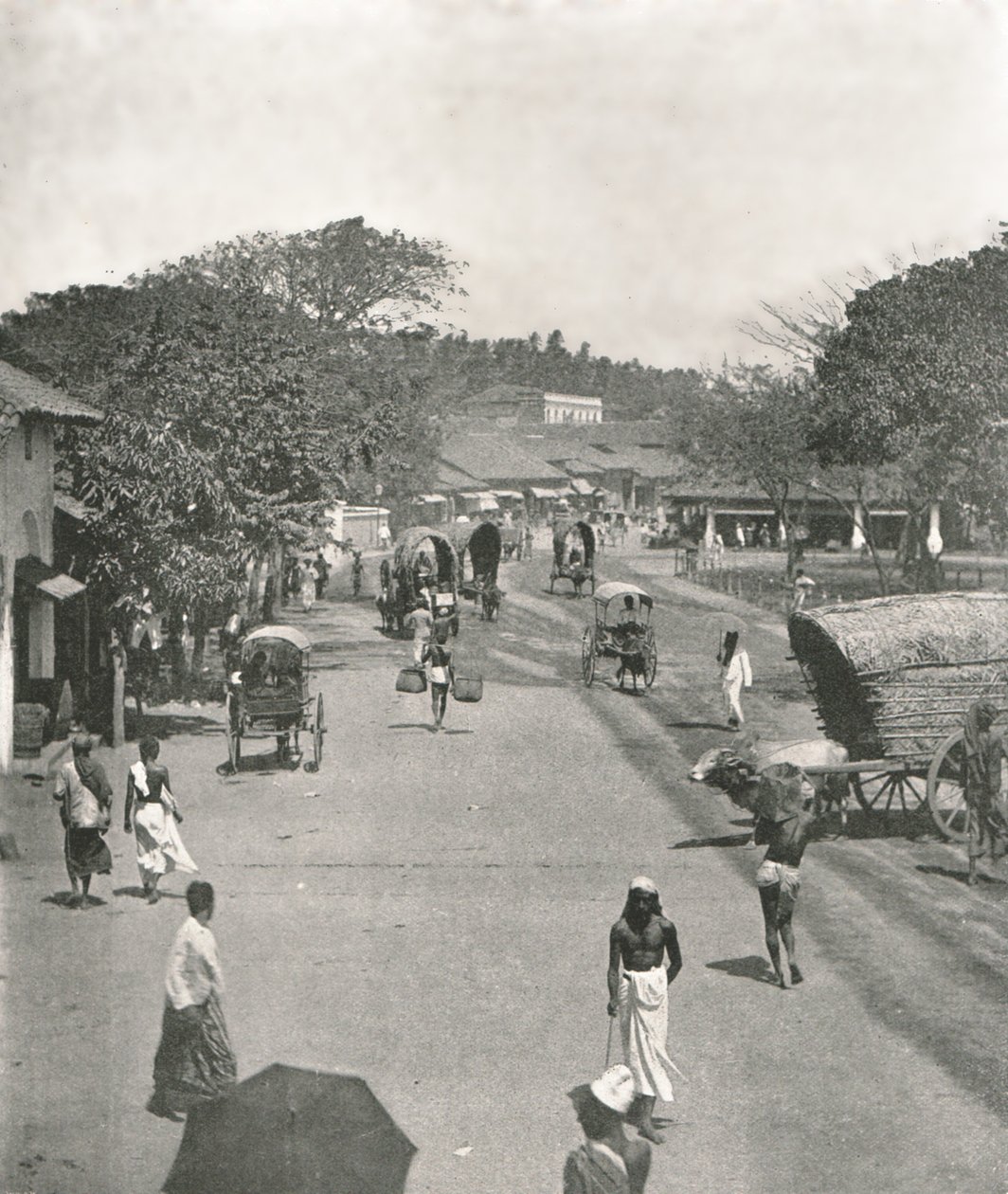 Katukuva lähellä kaupungintaloa, Colombo, Ceylon, 1895. tekijältä W and S Ltd