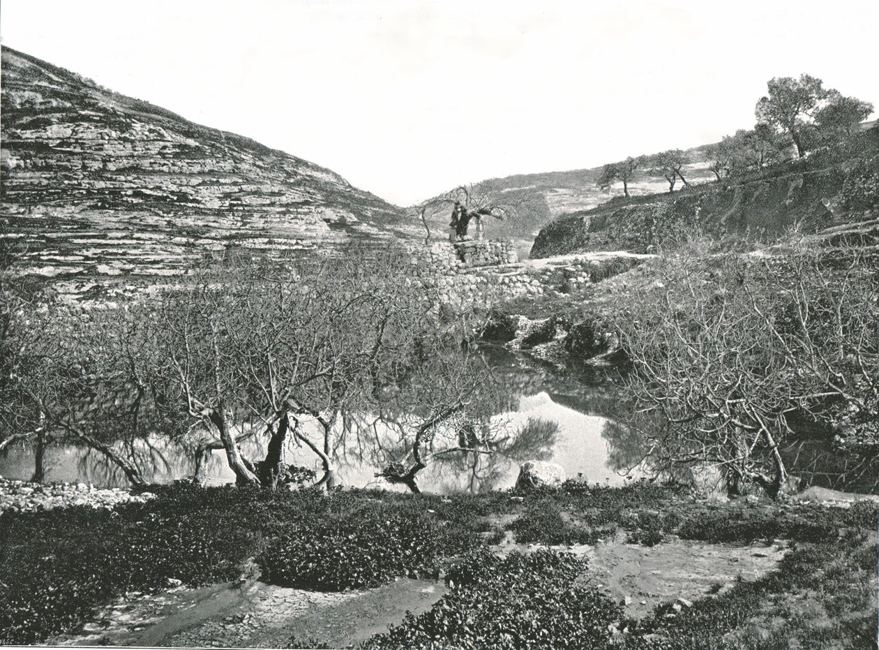 Siloamin allas, Jerusalem, Palestiina, 1895. tekijältä W and S Ltd