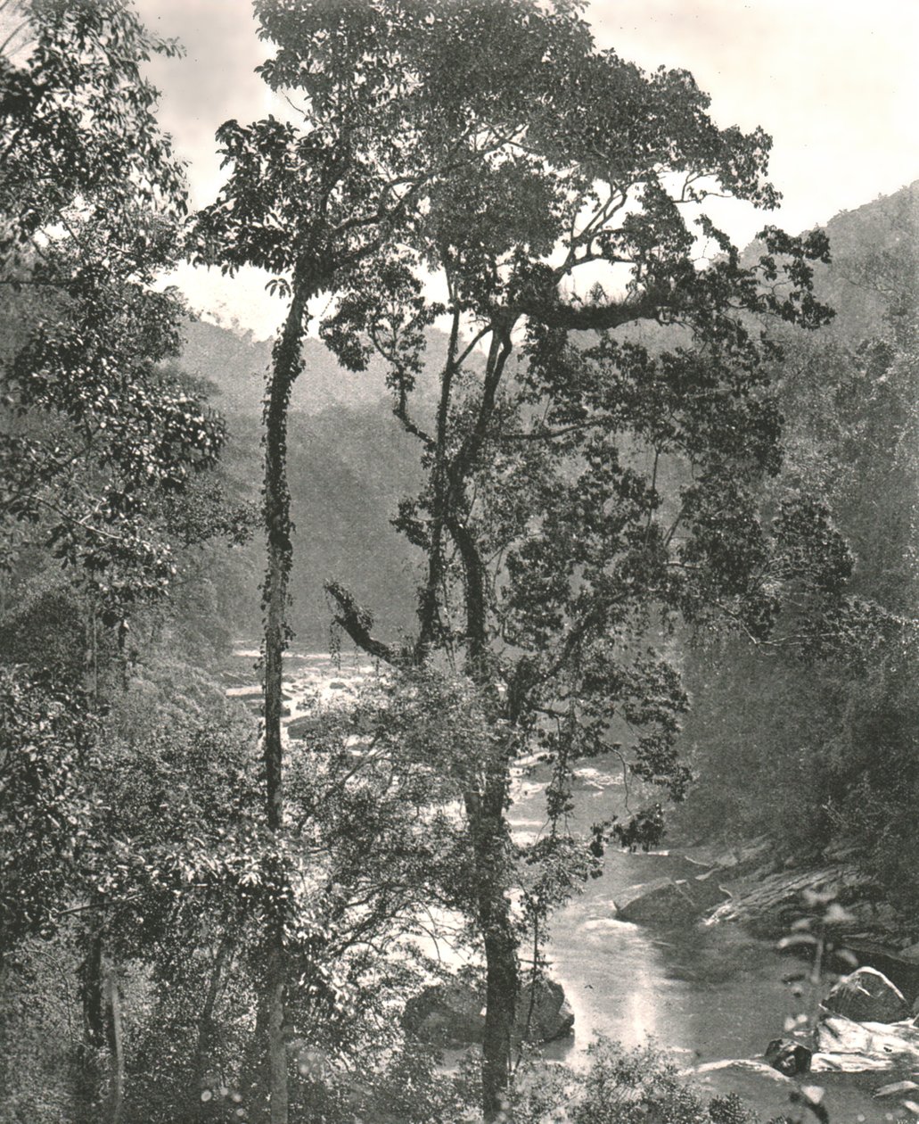 Näkymä Kelani-joelle, Kurunegala, Ceylon, 1895. tekijältä W and S Ltd