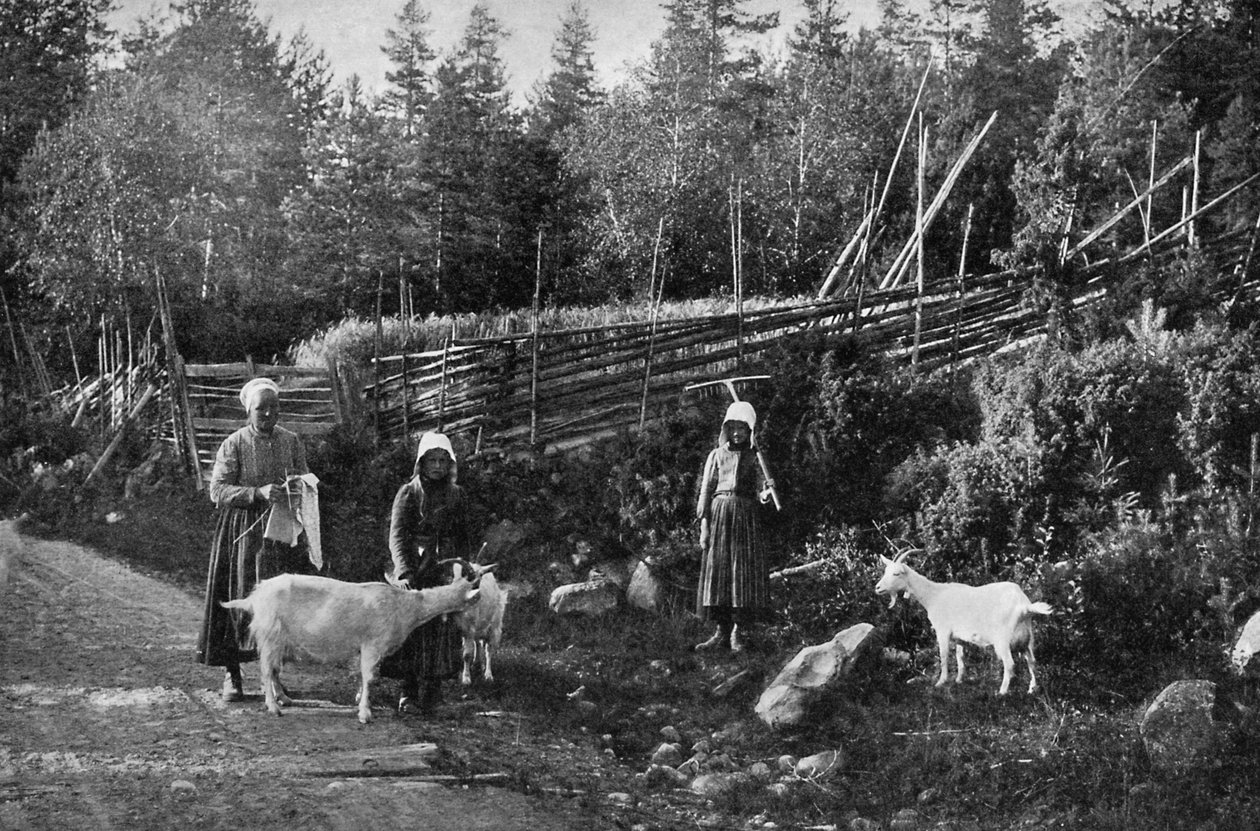 Vuohenkasvatus Taalainmaassa, Ruotsissa, 1908-1909. tekijältä Wald Zachrisson