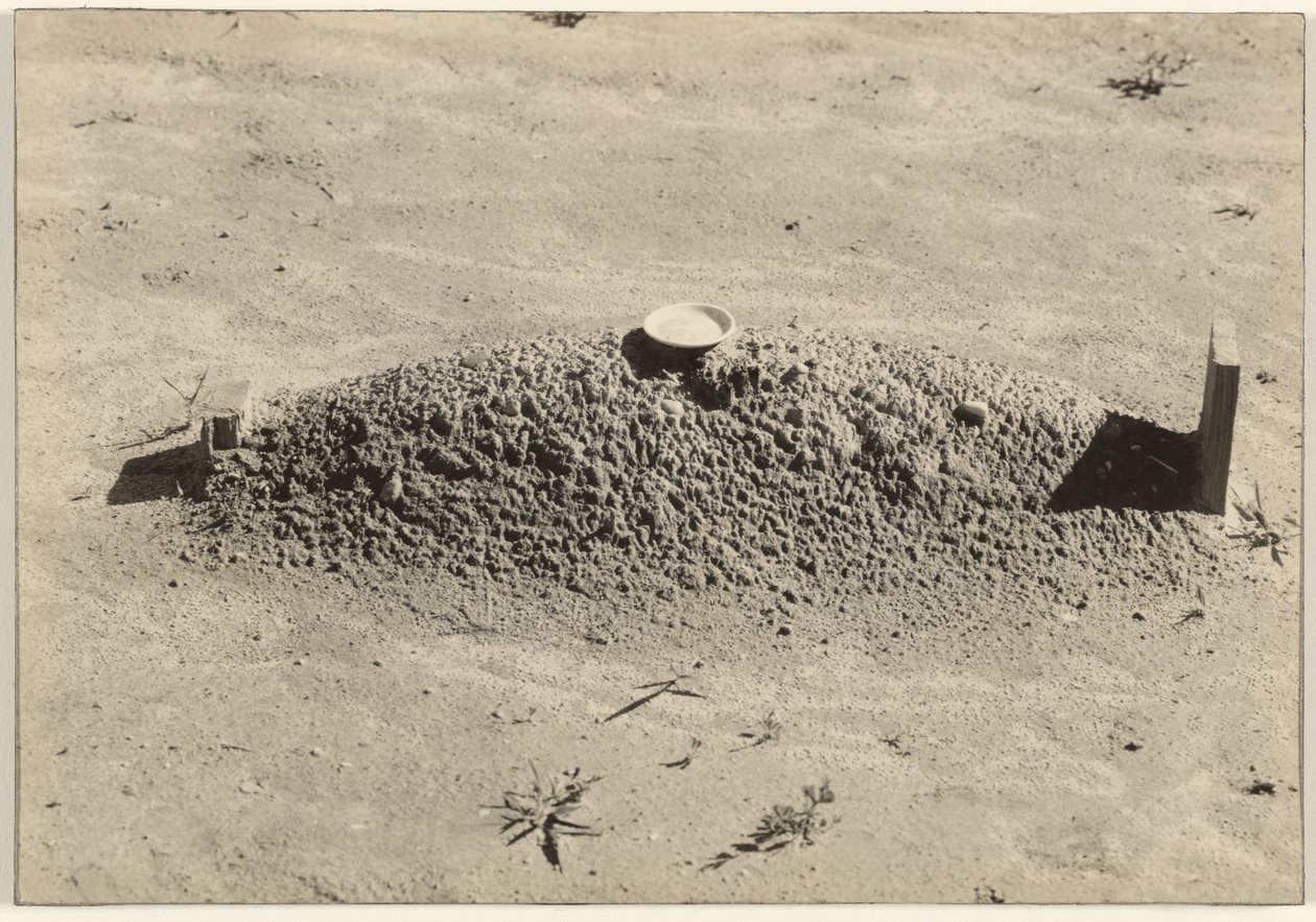 Baptistien hauta, Halen piirikunta, Alabama tekijältä Walker Evans