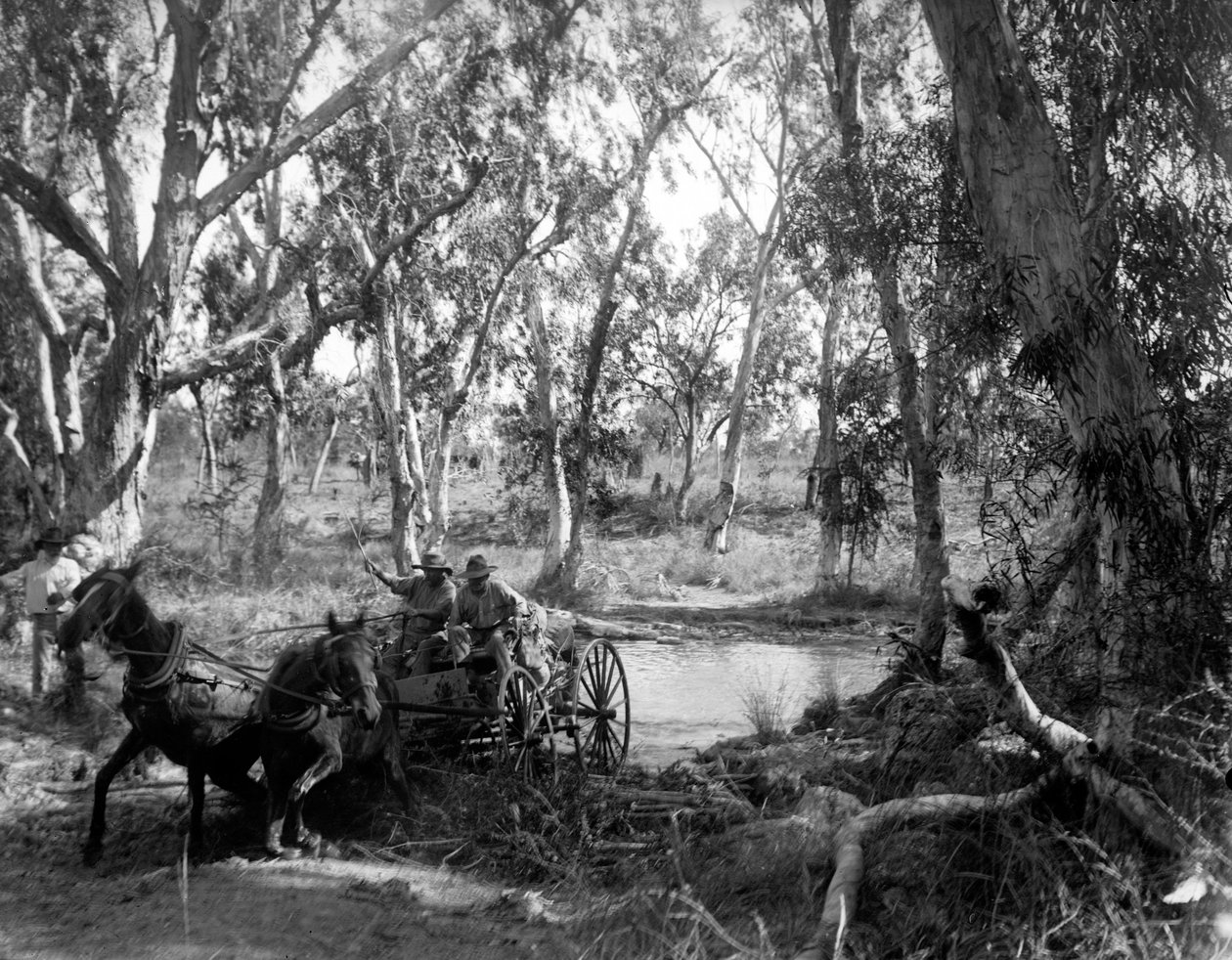 Crossing Salt Creek lähellä Roper -jokea, Itä -Arnhem Land, Australia, heinäkuu 1911 tekijältä Walter Baldwin Spencer