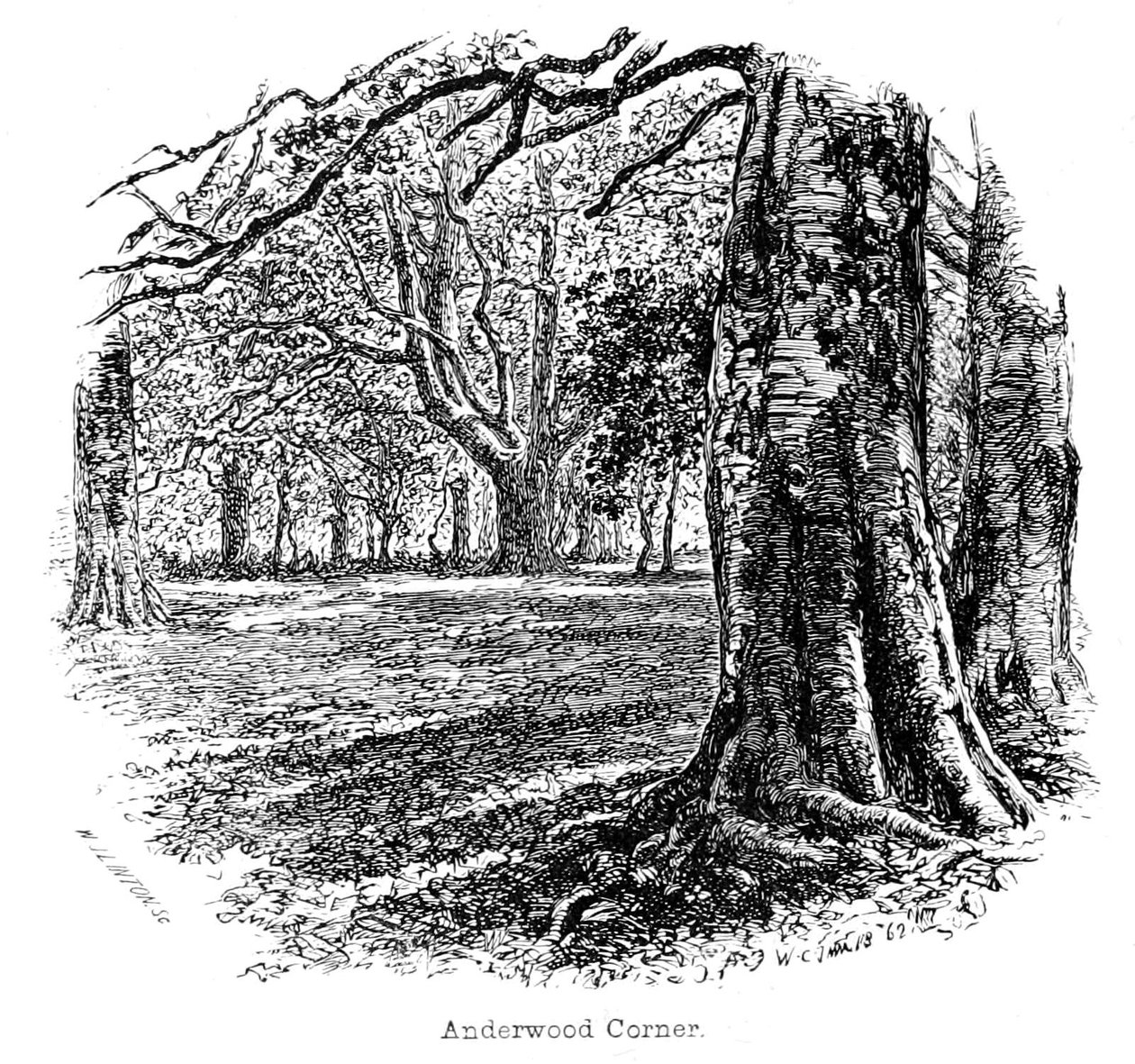 Anderwood Corner tekijältä Walter Crane