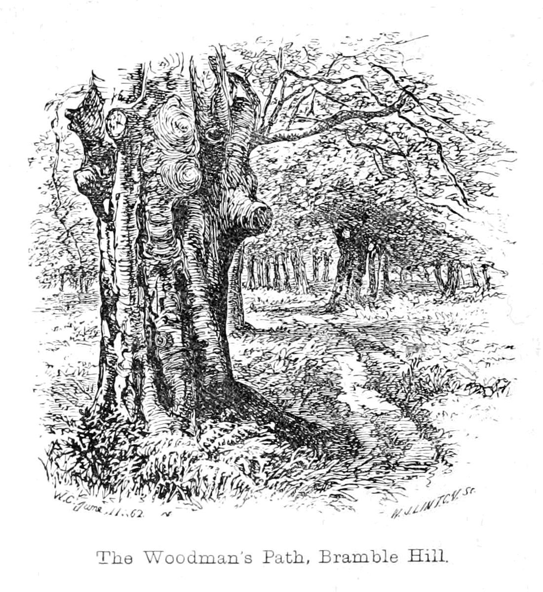 Woodmans -polku, Bramble Hill tekijältä Walter Crane