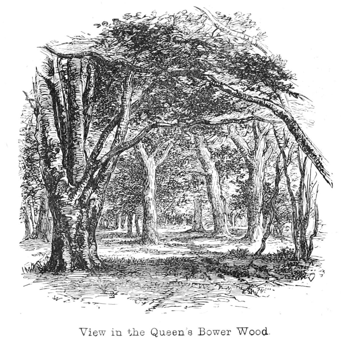 Näkymä Queens Bower Woodissa tekijältä Walter Crane