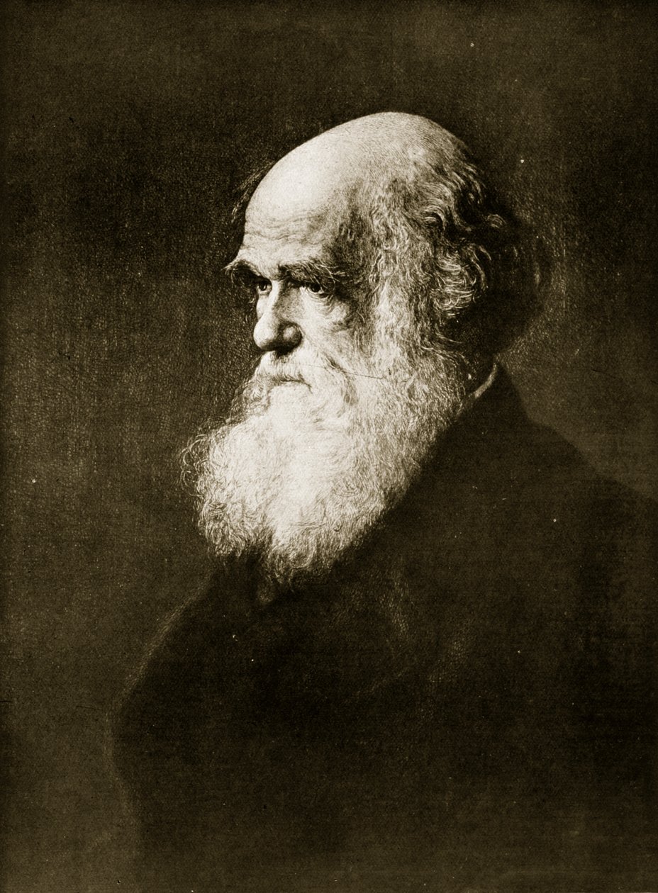 Charles Darwin, print W.W.:n maalauksen mukaan. Ouless, kuvitus kirjasta "Kansakunnan historia" tekijältä Walter William Ouless