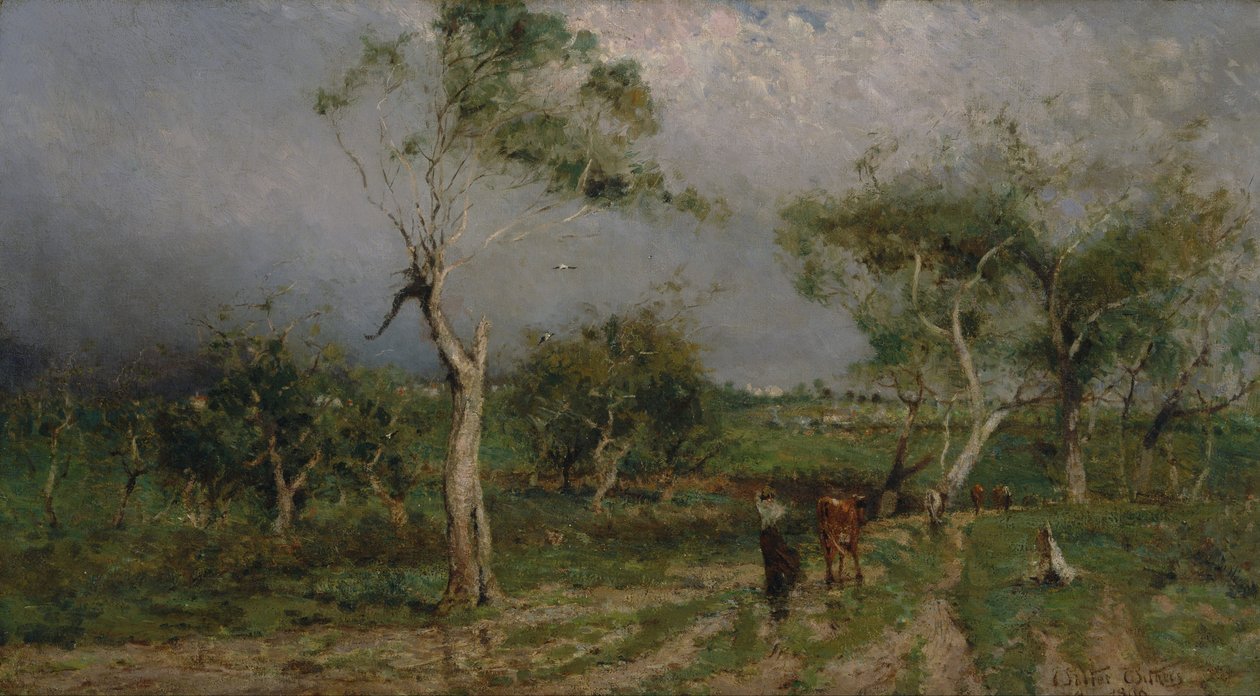 Myrsky tekijältä Walter Withers