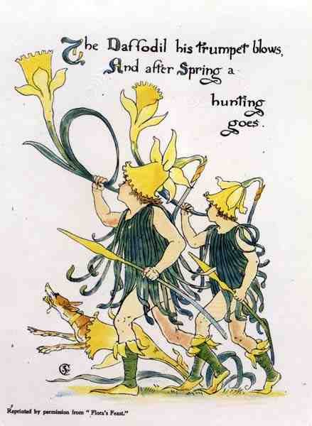 Narsissin trumpetti puhaltaa, Flora