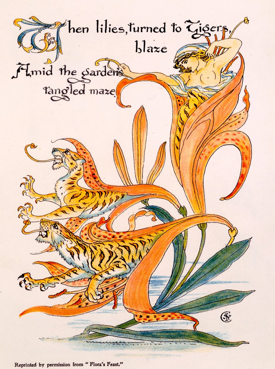 Tiger Lilies, kuvitus Walter Cranen "Flora