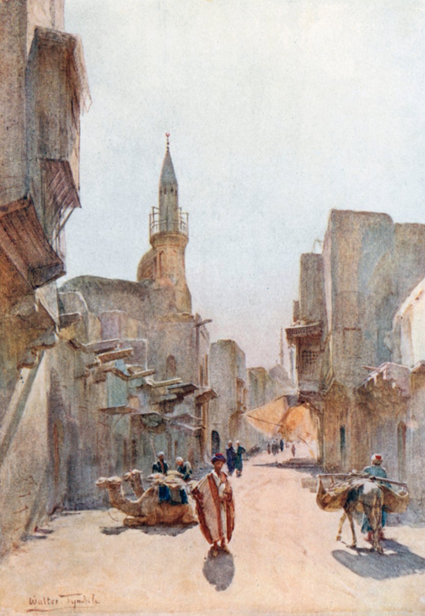Katu lähellä Citadelia, Kairo (värilitografia) tekijältä Walter Frederick Roofe Tyndale