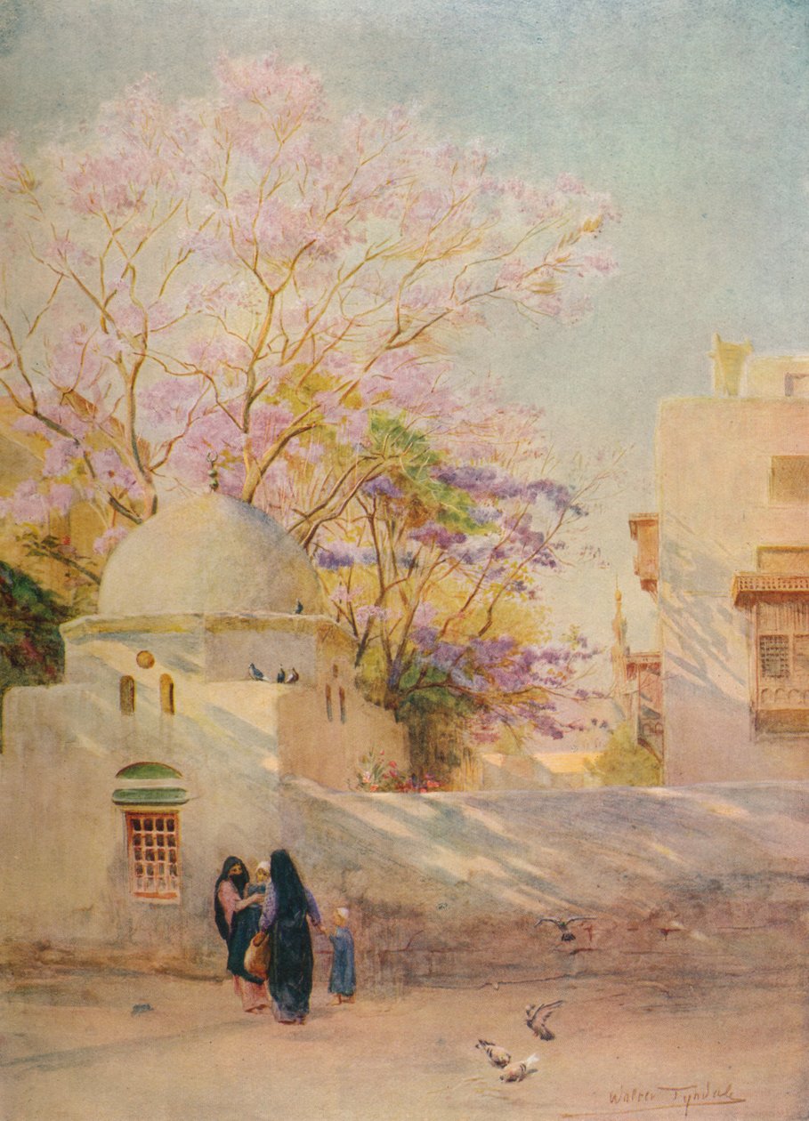 Jacaranda, 1905, 1912 tekijältä Walter Frederick Roofe Tyndale