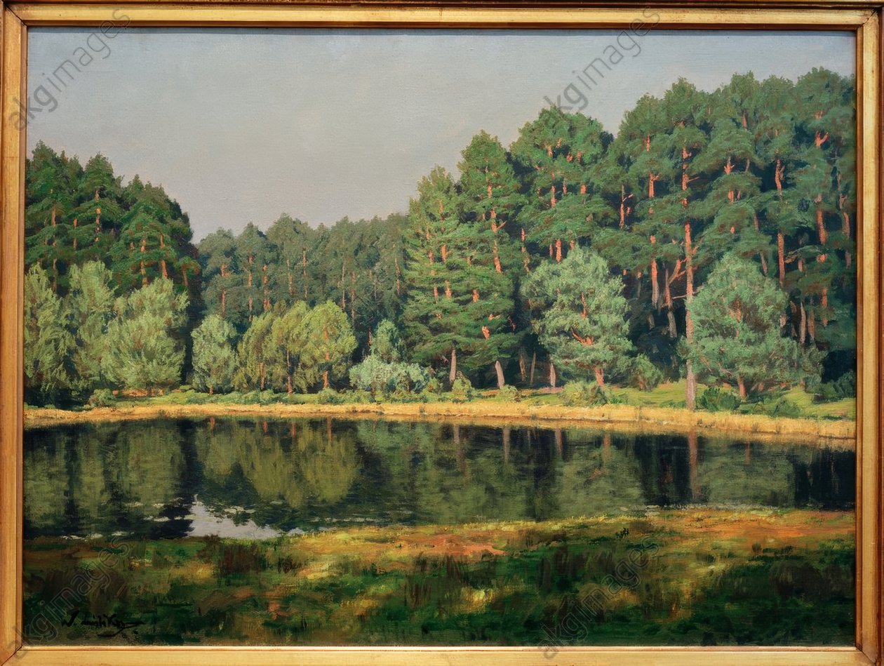 Metsämaisema järvellä Brandenburgissa tekijältä Walter Leistikow