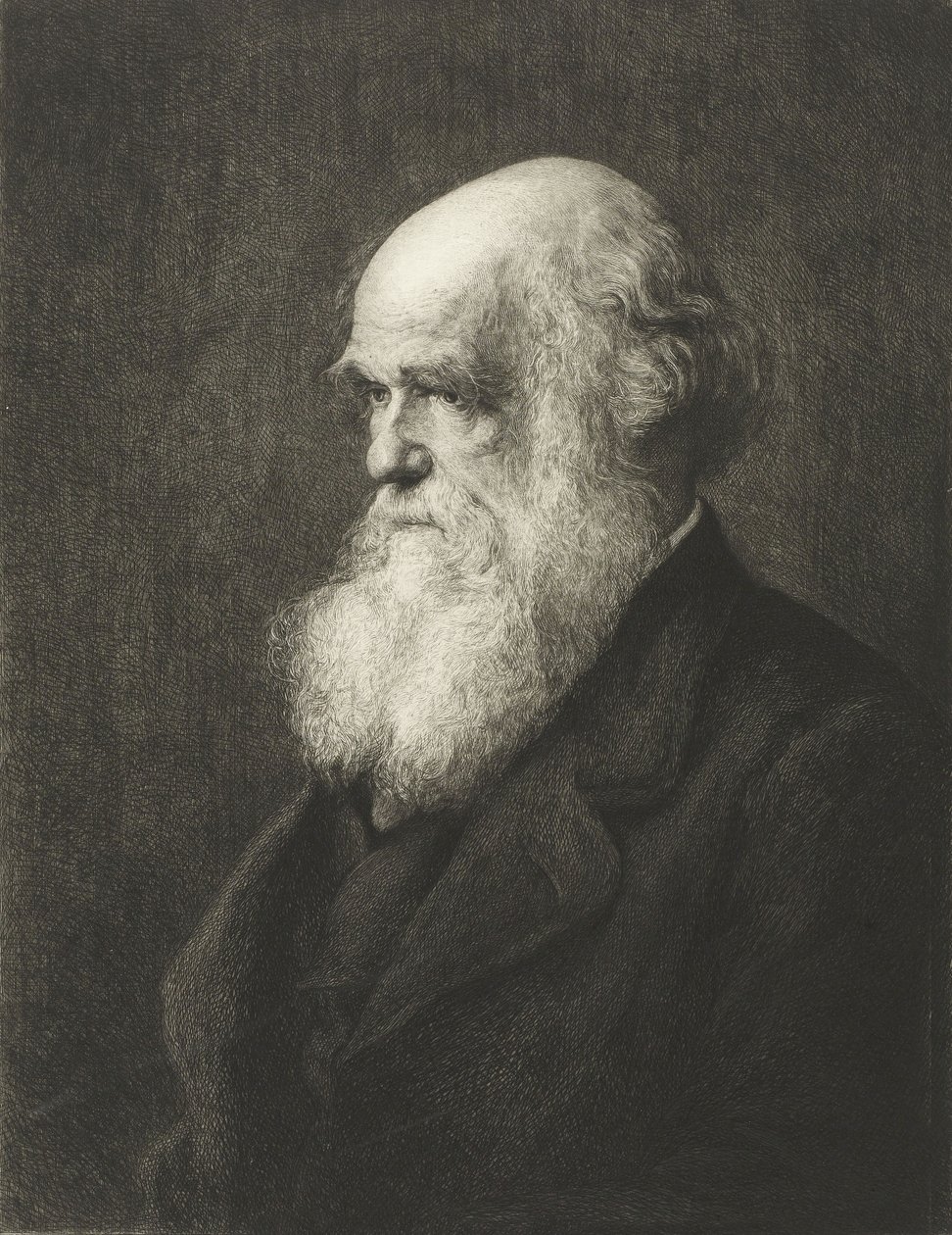 Charles Robert Darwin (kaiverrus) tekijältä Walter William (after) Ouless