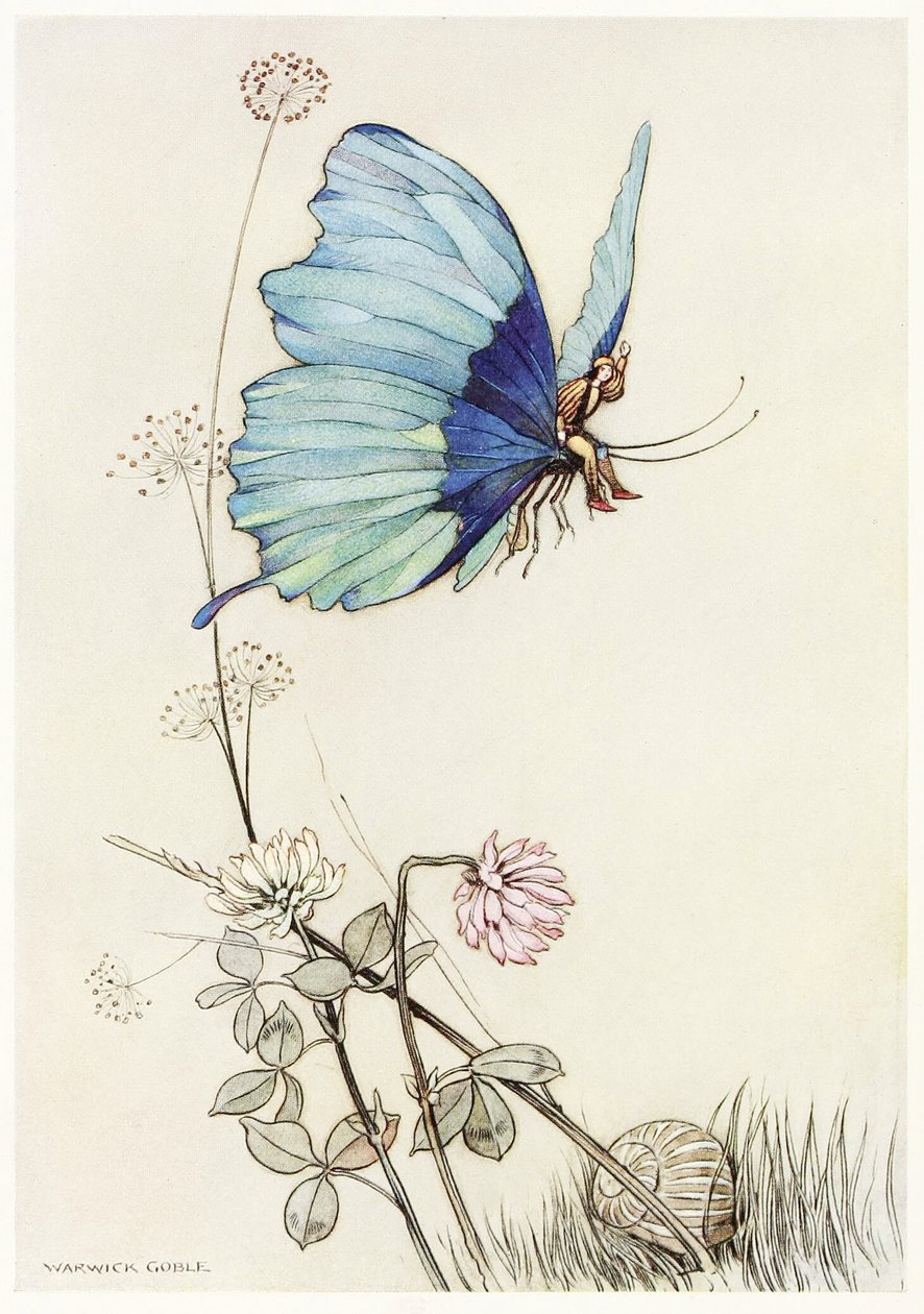 Perhonen otti siivet ja nousi ilmaan pienen Tomin kanssa selässään The Fairy Book -pubista. 1913 tekijältä Warwick Goble
