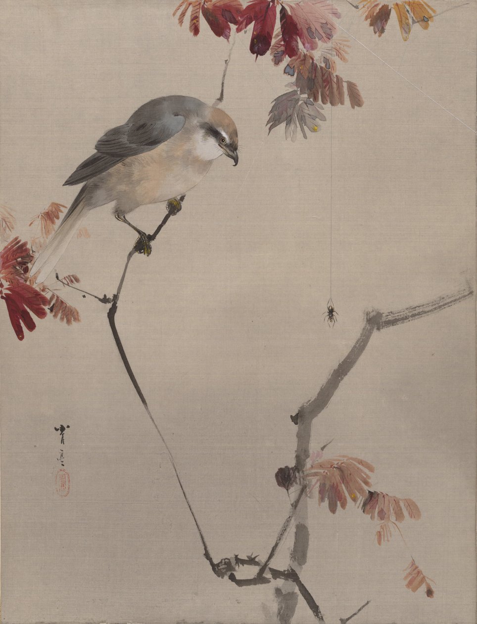 Bird on Branch Watching Spider, n. 1887. tekijältä Watanabe Seitei