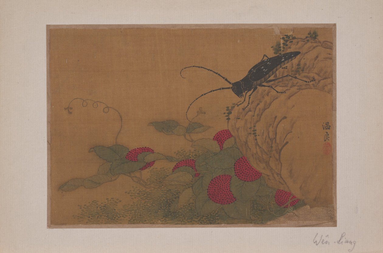 Grasshopper on Rock, 1400-luku. tekijältä Wen Liang