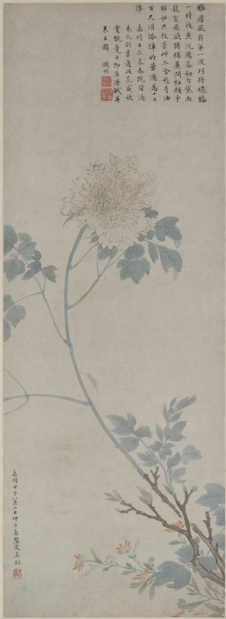 Pioni, riippuva käärö, 1532 (muste ja väri paperille) tekijältä Wen Zhengming