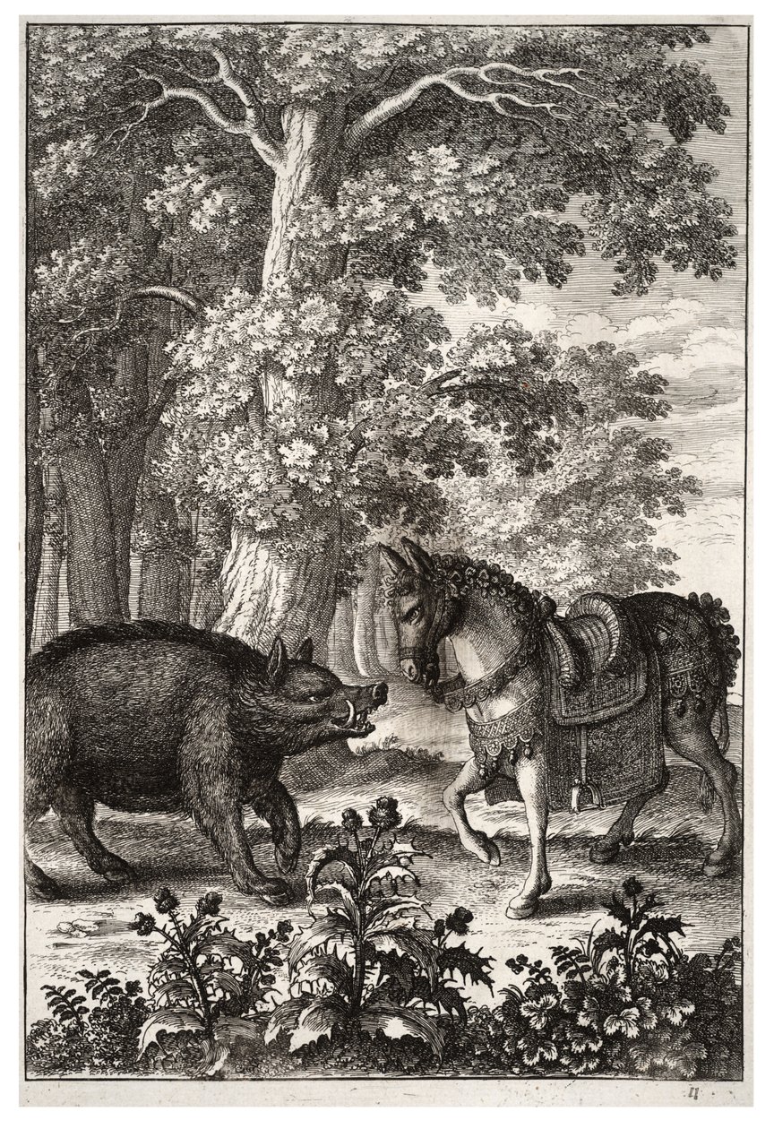 Karju ja aasi tekijältä Wenceslaus Hollar