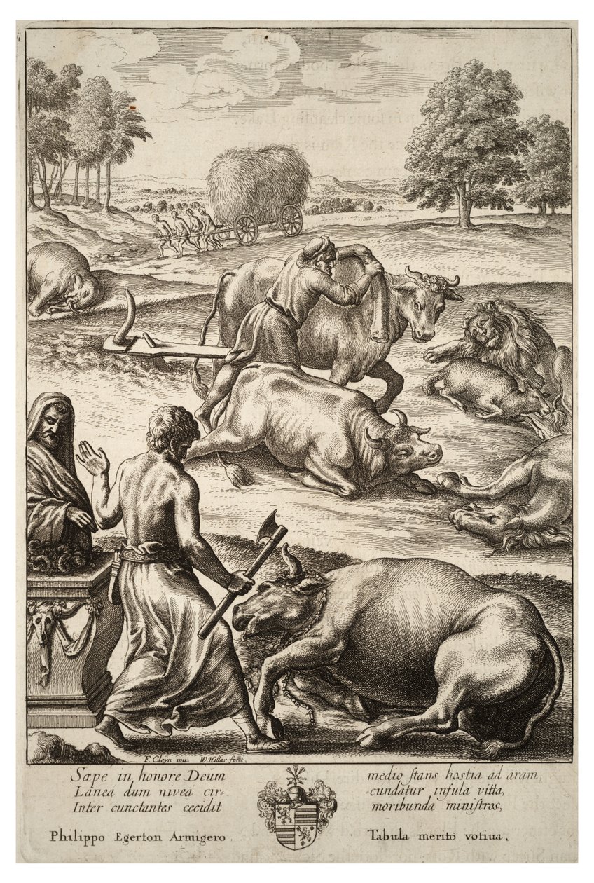 Naudan rutto. Tila 2 tekijältä Wenceslaus Hollar