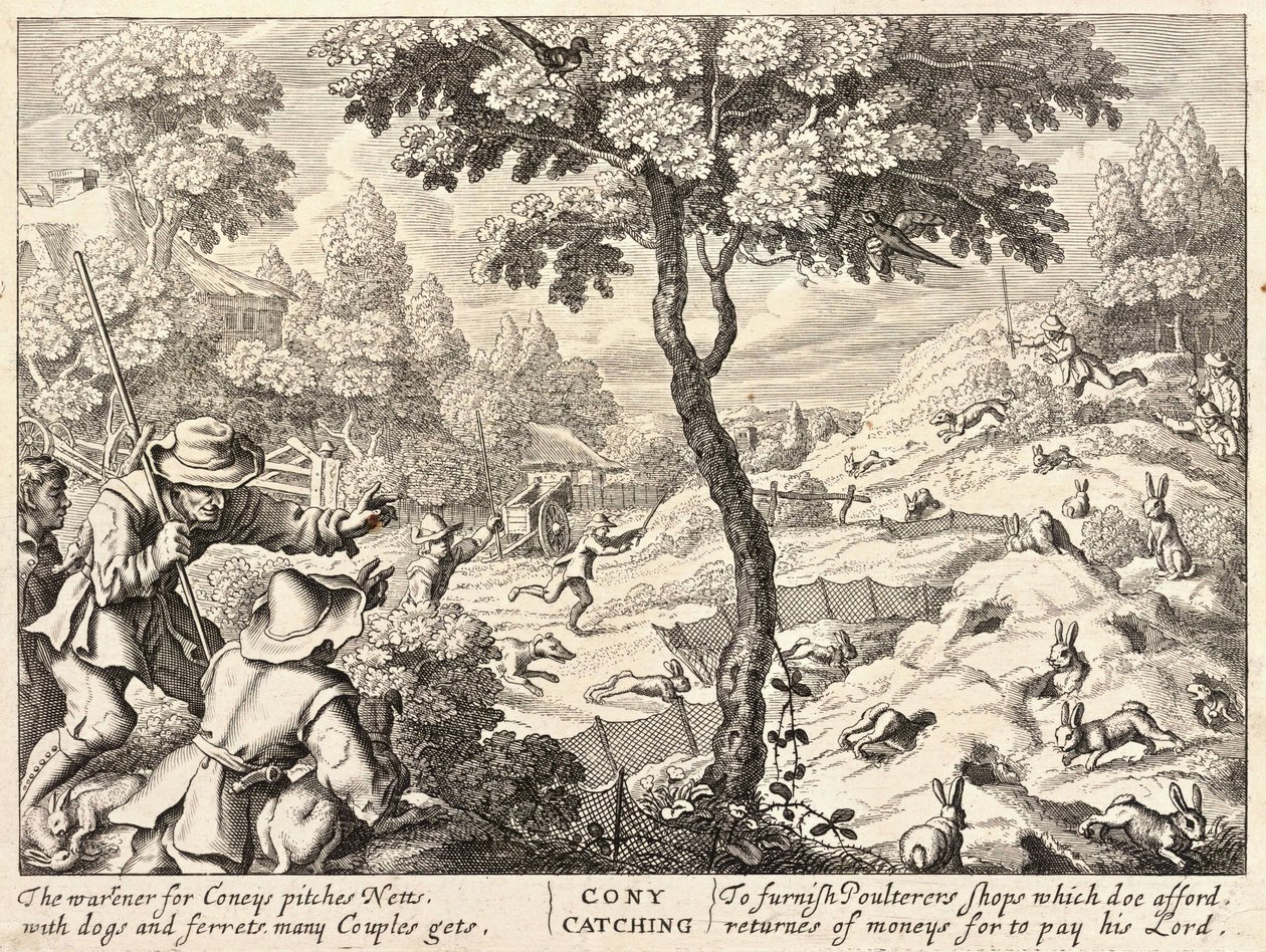 Coney kiinniotto tekijältä Wenceslaus Hollar