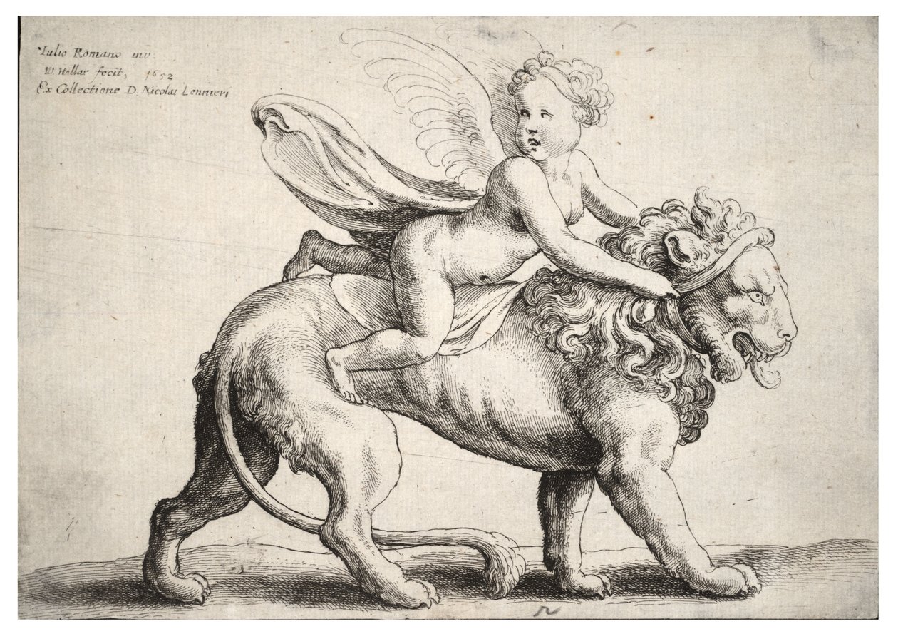 Amor leijonalla Giulio Romanon jälkeen tekijältä Wenceslaus Hollar